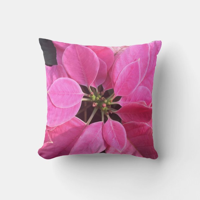 Glad helg Poinsettia Kudde (Framsida)
