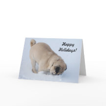 Glad helg Pug som Gräver i Snö