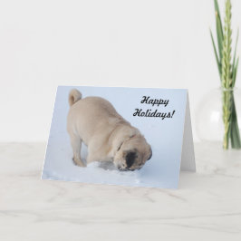 Glad helg Pug som Gräver i Snö