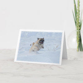 Glad helg Pug spelar i Snö jul