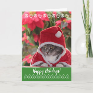 Glad helg, purr.. från Santa cat. Helgkort