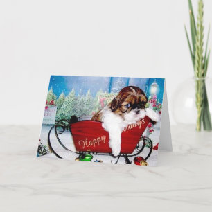 Glad helg Shih Tzu