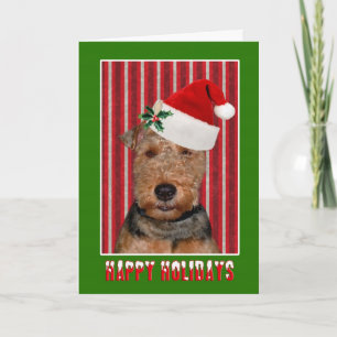 Glad helg Welsh Terrier