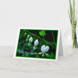 Glad hjärtans dag Vita hjärtan Helgkort