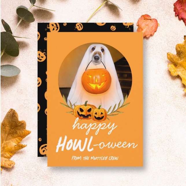 Glad Howloween | Halloween Foto på Husdjur Julkort (Skapare uppladdad)
