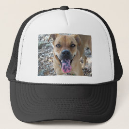 Glad hund med fläckig tunga keps