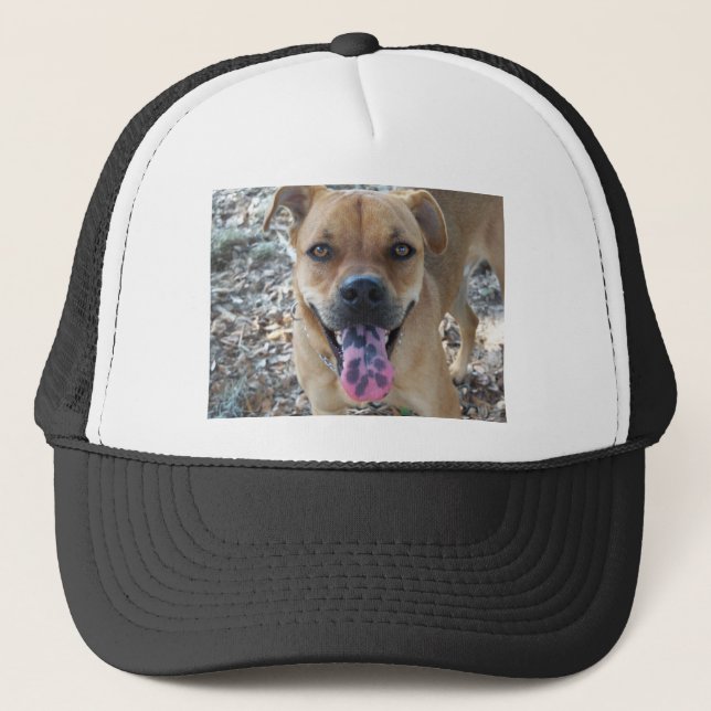 Glad hund med fläckig tunga keps (Framsida)