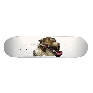 Glad hund - skateboard