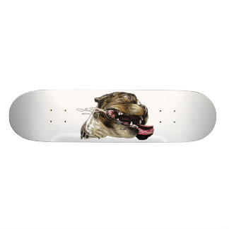 Glad hund - skateboard