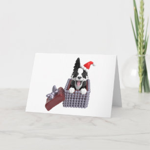 Glad jul Border Collie Kort