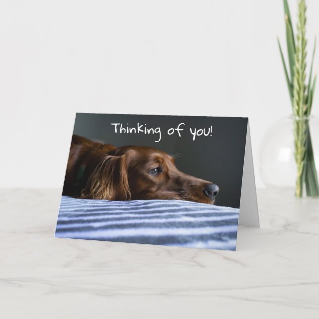 "GLAD JUL" FRÅN SÖT PUPP HELGKORT (Framsida)