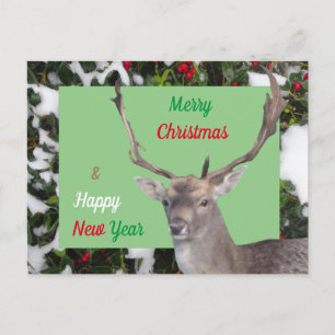Glad jul Hjort och Julkardpostkort Vykort