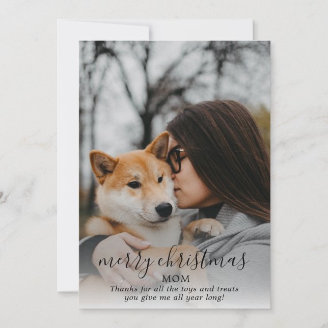 Glad jul Hund Foto från hunden Julkort (Framsida)