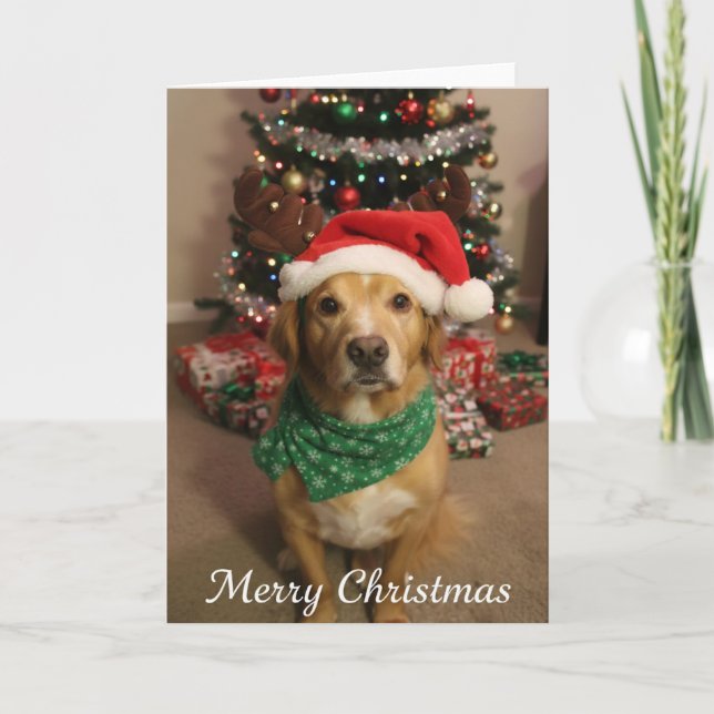 Glad jul Hund Kort (Framsida)