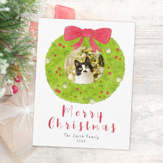 Glad jul Katt Foto Jul Postkort Helg Vykort