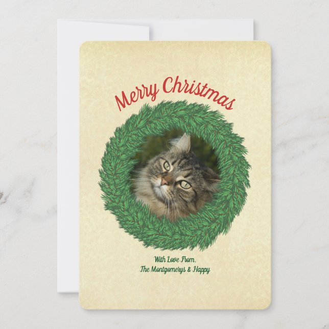 Glad jul katt i krans husdjursfoto julkort (Framsida)