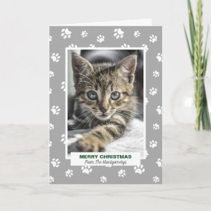 Glad jul Katt med tassavtryck Husdjur Foto Helgkort