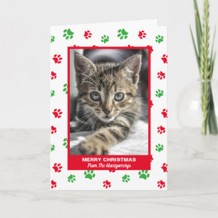 Glad jul Katt Röda Gröna Tassavtryck Husdjur Foto Helgkort