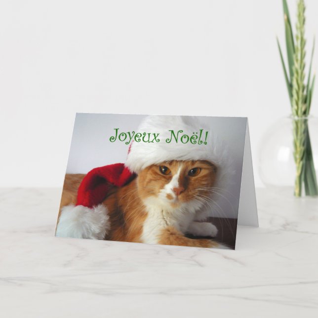Glad jul - Katt som bär tomtehatt Helgkort (Framsida)