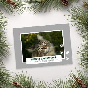 Glad jul Katt Vita tassavtryck Foto Julkort