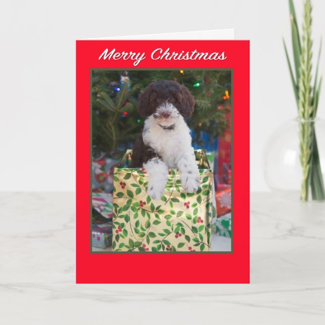 Glad jul Labradoodle Valp Kort (Framsida)