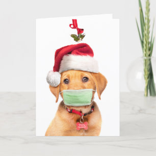 Glad jul Labrador-valp i ansiktsmask och Sa Helgkort