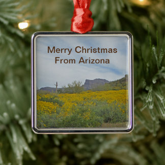 Glad jul Ökenvildblomma Arizona Högtid Julgransprydnad Metall