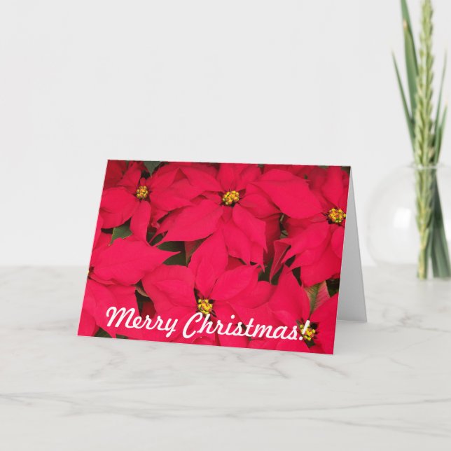 Glad jul Poinsettia Helgkort (Framsida)