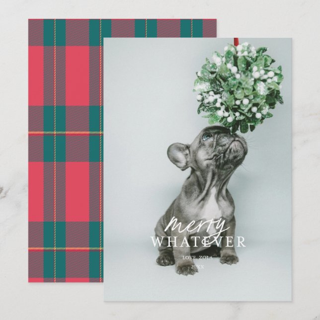 Glad jul rolig husdjur foto semesterkort inbjudningar (Fram/baksida)