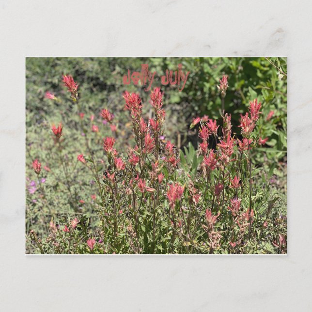 Glad juli vykort (Framsida)