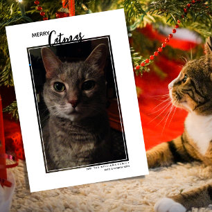 Glad Julkatts Julkort för Djurbild