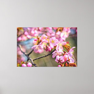 Glad Kaskad Av Sakura Blommor På En Vårdag Canvastryck
