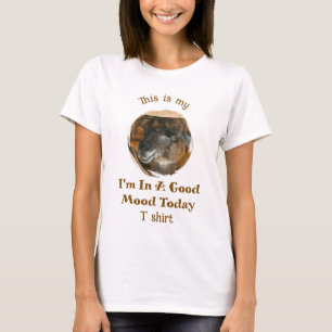 Glad Lama Gott Humör Rolig Roligt T Shirt