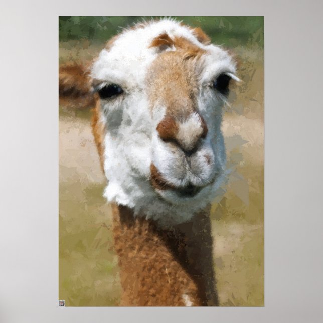 Glad lama, Målar effekt Poster (Framsidan)