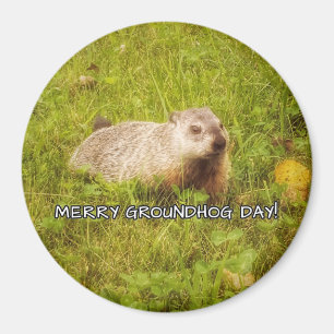 Glad magnet för Groundhog dag