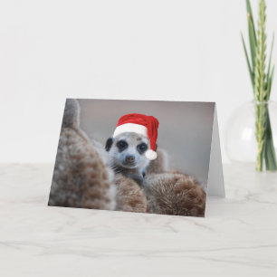 Glad Meerkat jul - säsonhälsningar 2 Helgkort