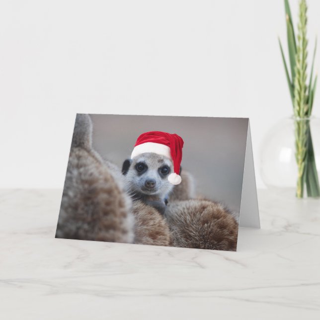 Glad Meerkat jul - säsonhälsningar 2 Helgkort (Framsida)