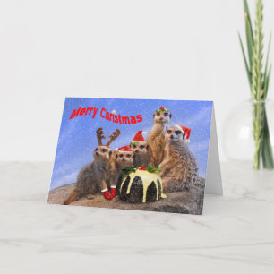 Glad Meerkats julkort Helgkort