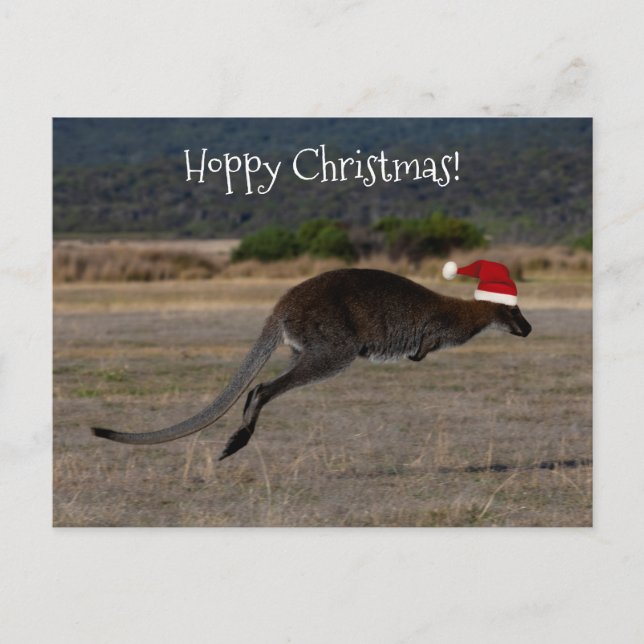 Glad Merry Christmas Kanguru Röd Tomtehatt Vykort (Framsida)
