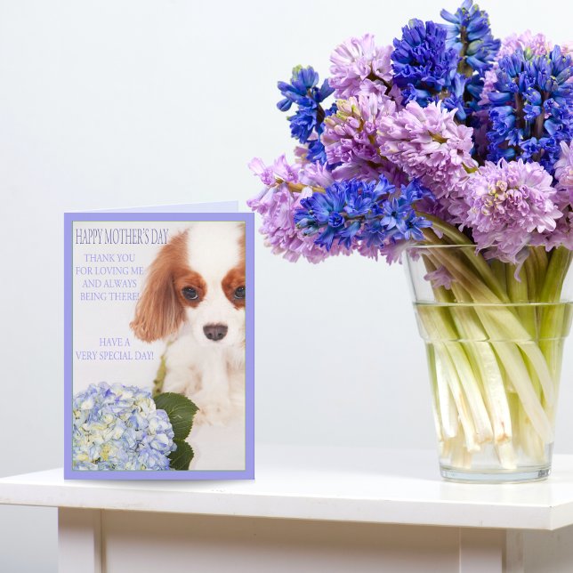 Glad mors dag Cavalier med Hydrangea-kort Kort (Skapare uppladdad)