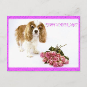 Glad mors dag Cavalier med rosbukett Vykort