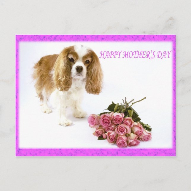 Glad mors dag Cavalier med rosbukett Vykort (Framsida)