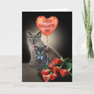 Glad mors dag Katter Kort