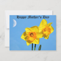 Glad mors dag Narcisser Guldmedalj blommor 