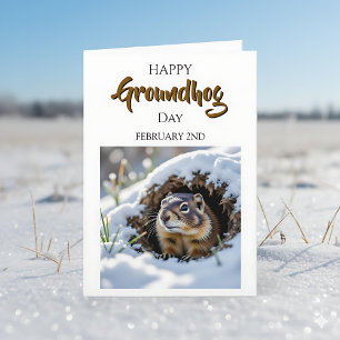 Glad Murmeldagsdag! 2 februari Kort