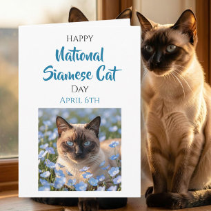 Glad nationella siameser katt dag 6 april kort