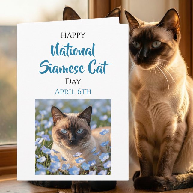Glad nationella siameser katt dag | 6 april kort (Skapare uppladdad)