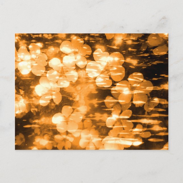 Glad Orange Ljus Vacker Blommig Skapelse Vykort (Framsida)