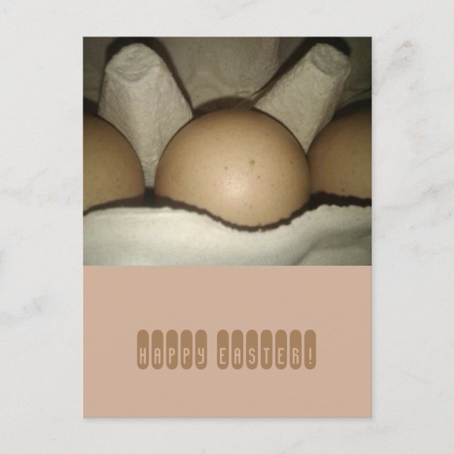 Glad påsk ägg i kartong helg vykort (Framsida)