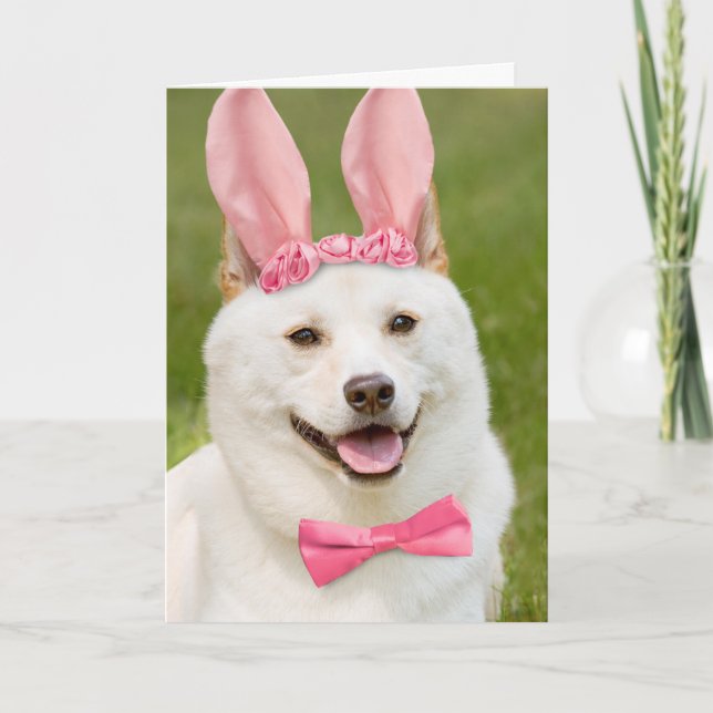 Glad påsk any Shiba Inu Hund i Bunny Öron Helgkort (Framsida)